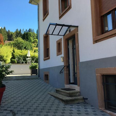 Ferienwohnung Les Magnolias En Alsace - Meuble De Tourisme 3 Etoiles Barembach Exterior foto