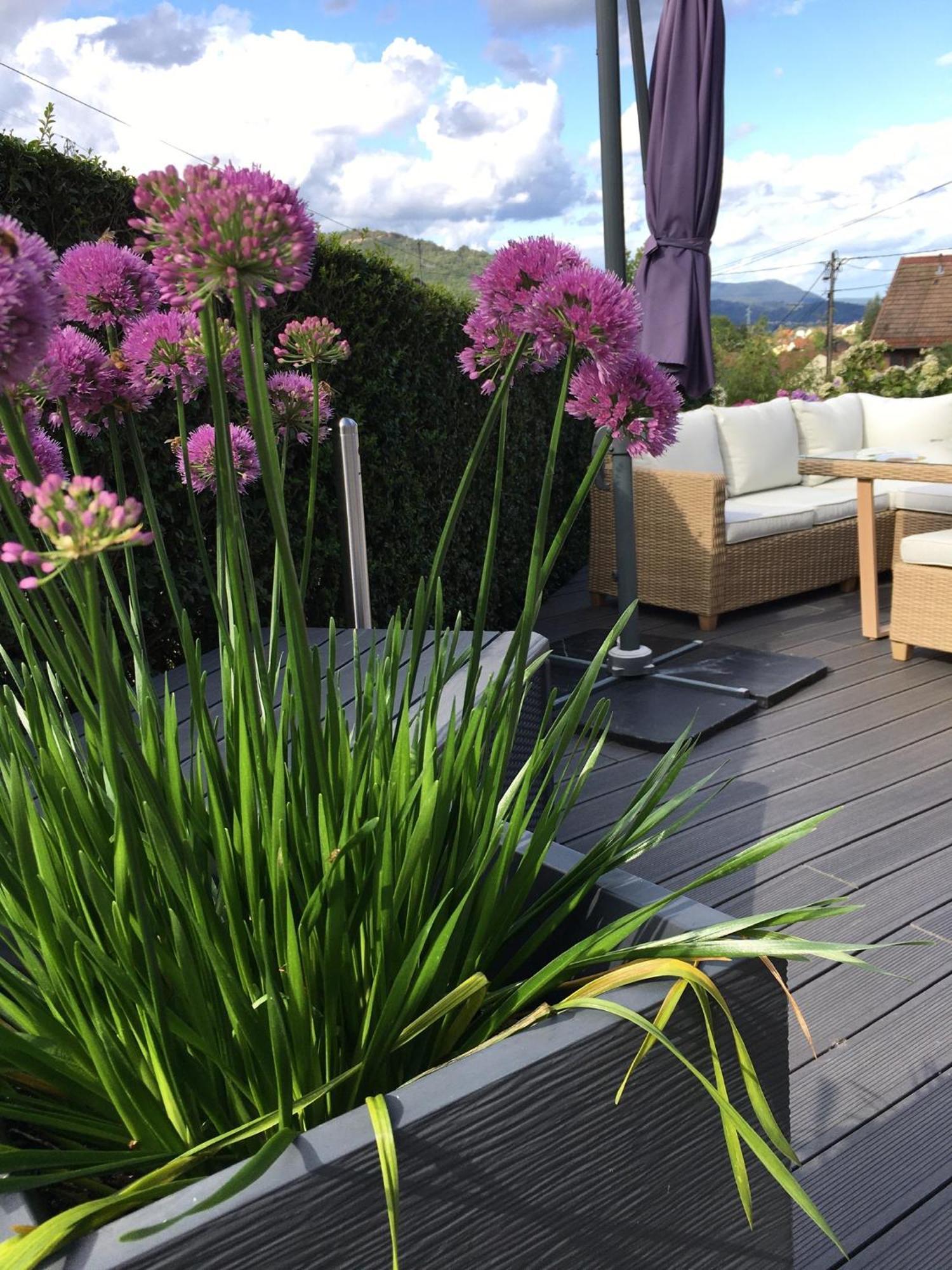 Ferienwohnung Les Magnolias En Alsace - Meuble De Tourisme 3 Etoiles Barembach Exterior foto