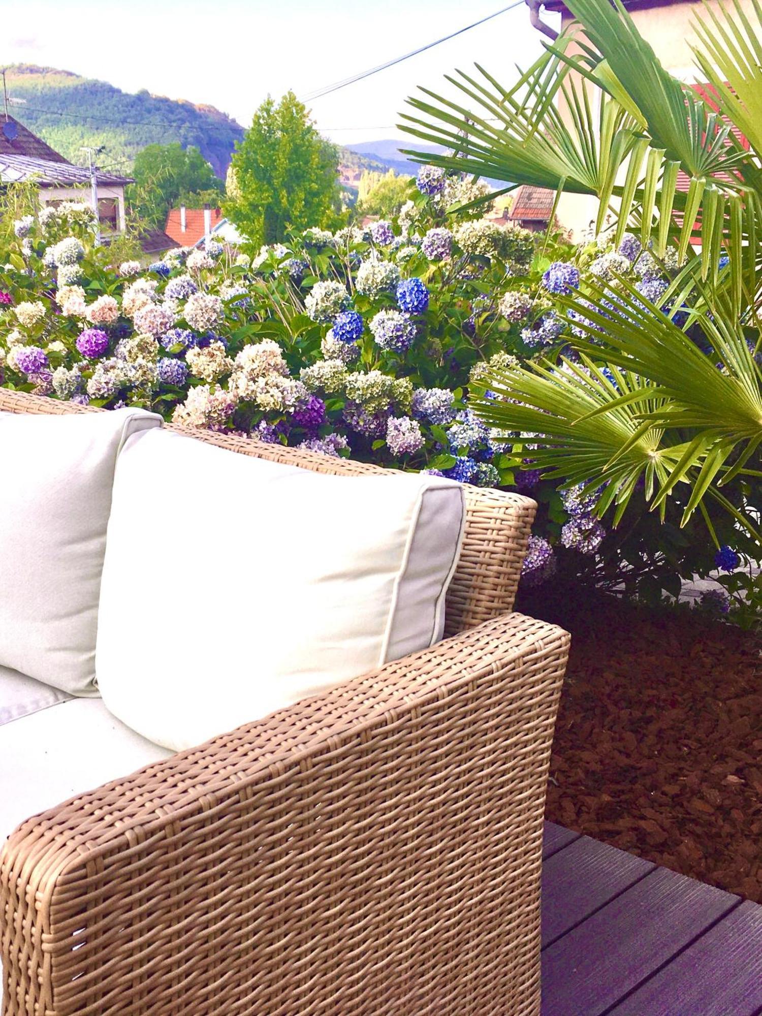 Ferienwohnung Les Magnolias En Alsace - Meuble De Tourisme 3 Etoiles Barembach Exterior foto