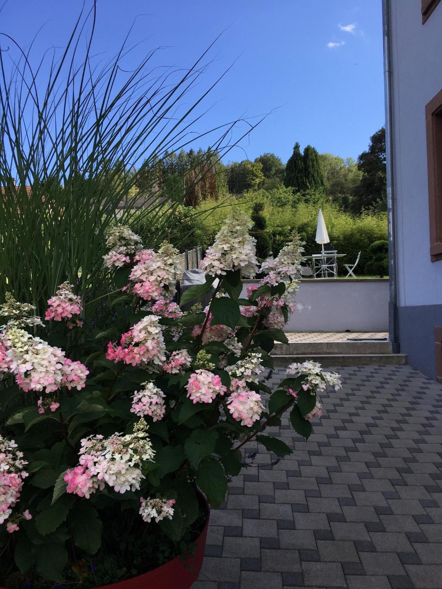 Ferienwohnung Les Magnolias En Alsace - Meuble De Tourisme 3 Etoiles Barembach Exterior foto