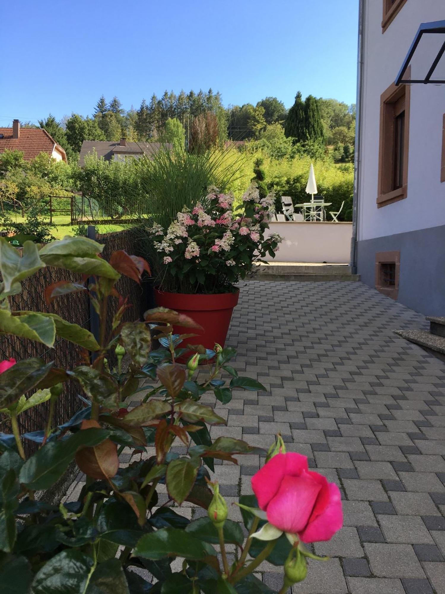 Ferienwohnung Les Magnolias En Alsace - Meuble De Tourisme 3 Etoiles Barembach Exterior foto