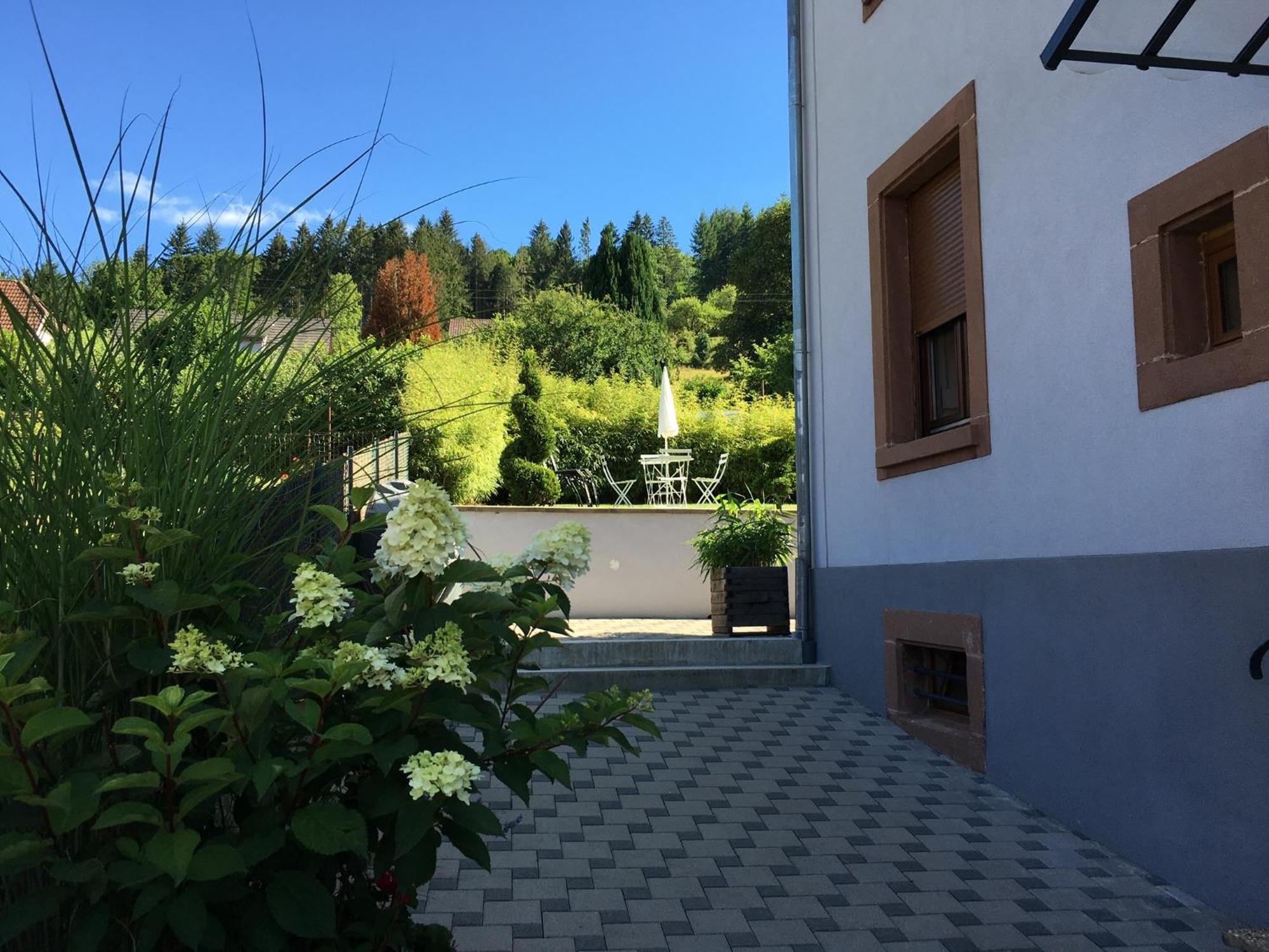 Ferienwohnung Les Magnolias En Alsace - Meuble De Tourisme 3 Etoiles Barembach Exterior foto